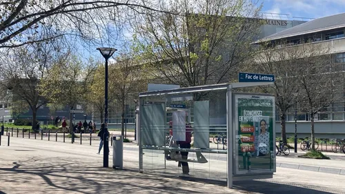 Pont Anne de Bretagne en travaux : les Nantais devront s'adapter...