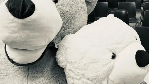 A Nantes, des colis oubliés de La Poste en vente aux enchères pour...