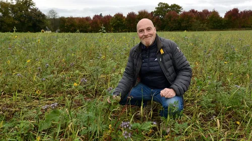 Environnement : des alternatives existent au glyphosate en Bretagne