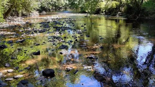 La sécheresse devient inquiétante en Bretagne