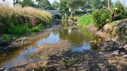 Arrêtés sécheresse en Bretagne : de gros consommateurs épargnés !