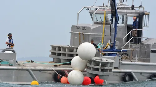 L'immersion de récifs artificiels au large de Paimpol : une...