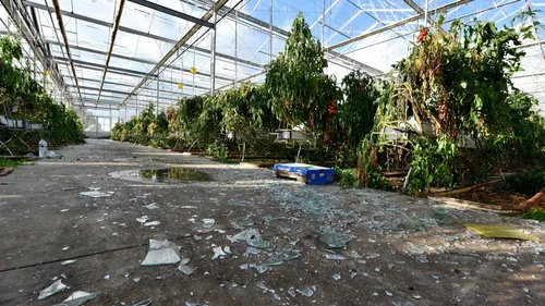 Tempête Ciaran : les agriculteurs bretons en colère devant la...