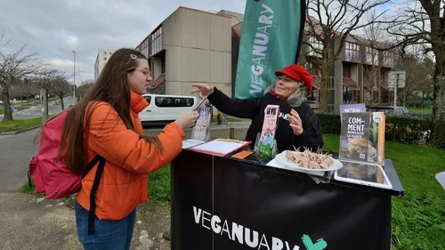 Veganuary en Bretagne : le jambon végétal, vous connaissez ?