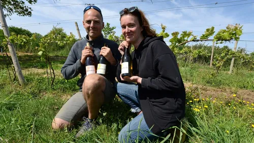 Vignoble de la Presqu'île de Rhuys : première cuvée de qualité !