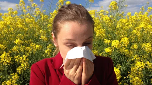 A Vannes un jardin pour aider à lutter contre les allergies.
