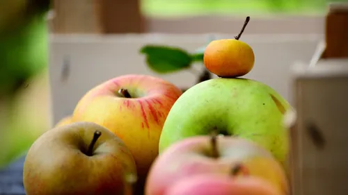 Tendance. Le bio n'a plus la cote auprès des consommateurs de l'ouest