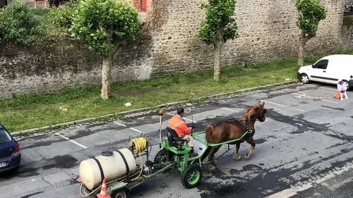 Un arrosage estival des fleurs à cheval à Lamballe.