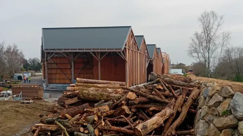 Bretagne. Les arbres tombés pendant la tempête Ciaran sont...
