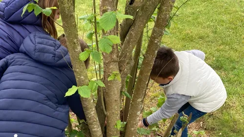 La chasse aux oeufs... au chocolat pour Pâques !