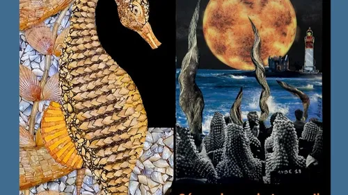 Expo de tableaux en coquillages en Sud Finistère.