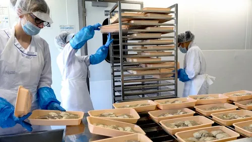 A Nantes, le plastique à la cantine agite toujours les débats