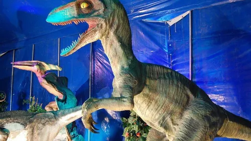 Les dinosaures se visitent en drive à Saint-Brieuc.