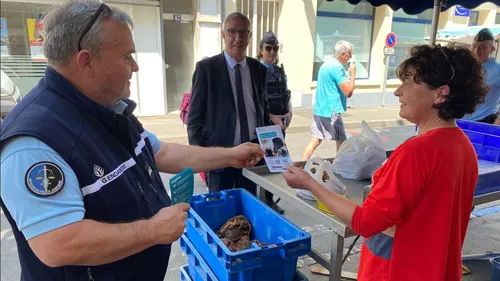 A Châteaubriant, des flyers contre les violences faites aux femmes