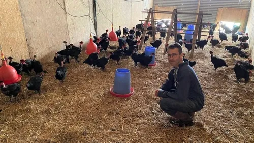 Grippe aviaire : coup dur pour les éleveurs de l'ouest touchés