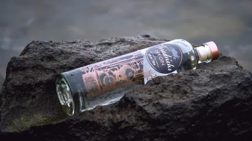 Nouvelle boisson : un gin aux algues du Finistère