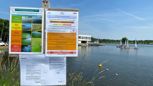 A Cholet, les cyanobactéries du lac du Ribou surveillées de près
