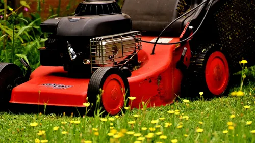 Rennes, pionnière en matière d'écologie