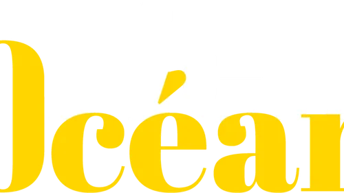 Grand Corps Malade au premier festival de Lorient Océans 