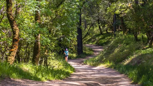 Bretagne : l'ONF appelle à la prudence pour protéger au mieux nos...