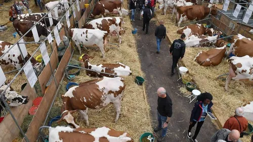 Retour du SPACE, salon international de l'élevage, à Rennes.