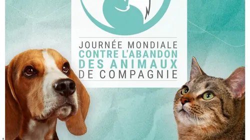 Le 26 juin 2021, Dites #STOPALABANDON