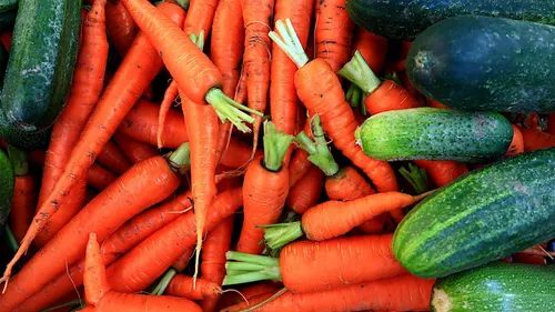 La tendance bio marque le pas, et inquiète le secteur