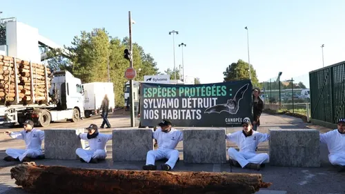 Des militants écologistes bloquent l’usine Sylvamo de...
