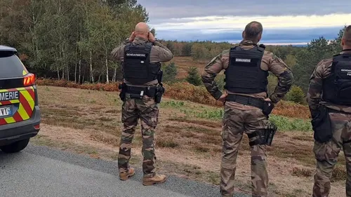 Le brame du cerf sous surveillance au camp militaire de La Courtine