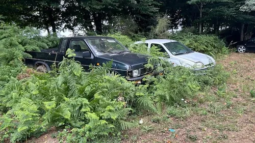 Les gendarmes luttent contre les atteintes à l’environnement