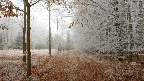 Plan Hivernal : passage au Niveau 1 'Temps froid' en Creuse