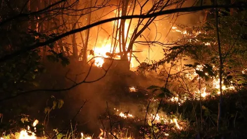 1 hectare détruit par les flammes au Bois de la Bastide