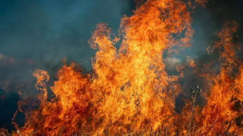 Incendies en Gironde : le Limousin se mobilise