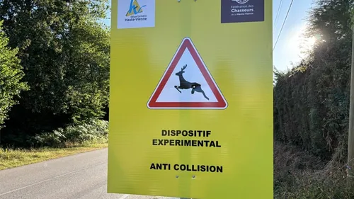Haute-Vienne : bilan positif pour le dispositif ‘anti-collision’