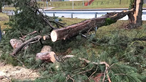 Tempête Goretti : 3000 foyers privés d’électricité en Limousin