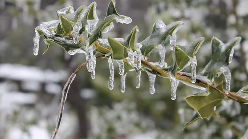 Limousin : vigilance orange Neige - Verglas