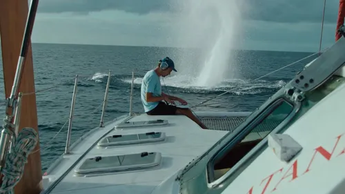 Rone, l’artiste qui parle aux baleines