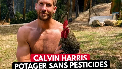 Calvin Harris : sa vie secrète au cœur d’une ferme biologique à Ibiza