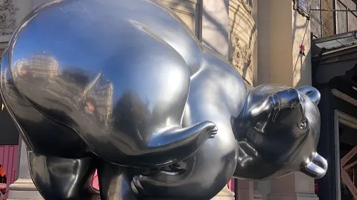 Des animaux en voie de disparition envahissent la capitale ! 