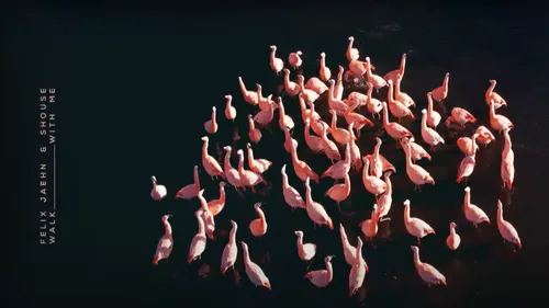 Avec Shouse, Felix Jaehn conclut une belle année de collabs