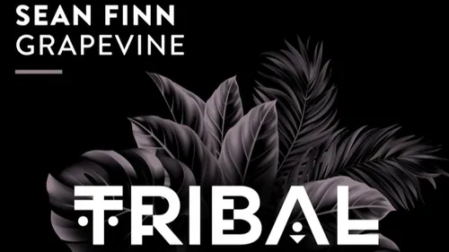 Coup de cœur FG: quand Sean Finn s'attaque à un indémodable tube du...