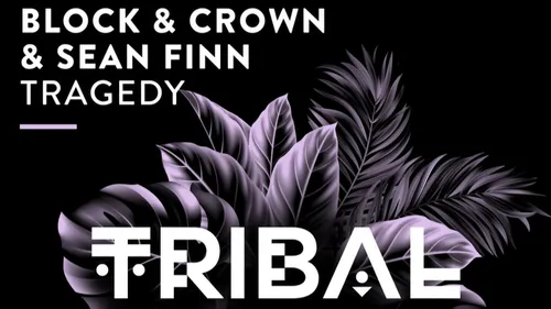 Coup de cœur FG : Sean Finn et Block & Crown s’associent pour...