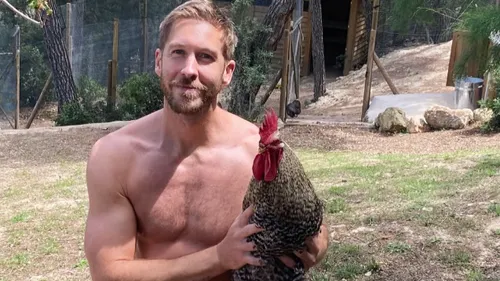 Alors Calvin Harris, plagiat ou pas plagiat ?