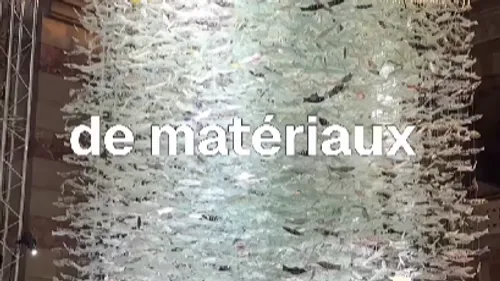 FG CHIC : ÉMERGENCE : 30 000 POISSONS IRISÉS NAGENT DANS LA LUMIÈRE...