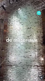 FG CHIC : ÉMERGENCE : 30 000 POISSONS IRISÉS NAGENT DANS LA LUMIÈRE...