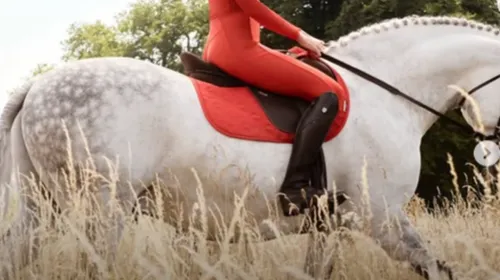 FG CHIC : Stella McCartney x LeMieux , quand la mode consciente...