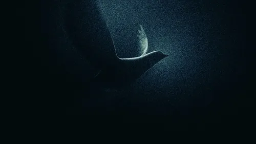 Michael Canitrot sort « Lost In The Dark ».