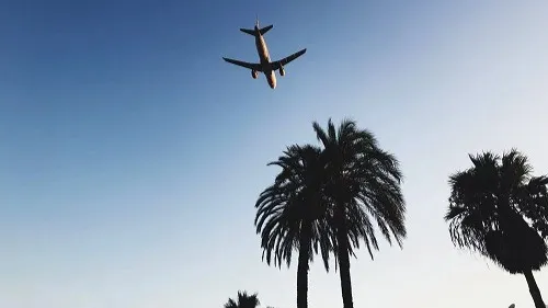 Nos coups de cœur de cet été à Ibiza