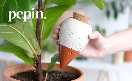 Gagne 100 € pour sublimer tes plantes avec Pépin ! 