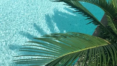 Qu’est ce qu’un tube de l’été ? La réponse des Djs